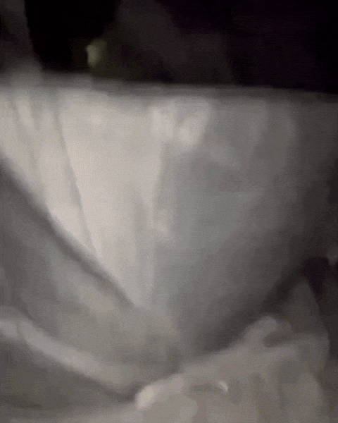 50e08874d09112b94e6a41785ed9b1fe_1732721649_204.gif