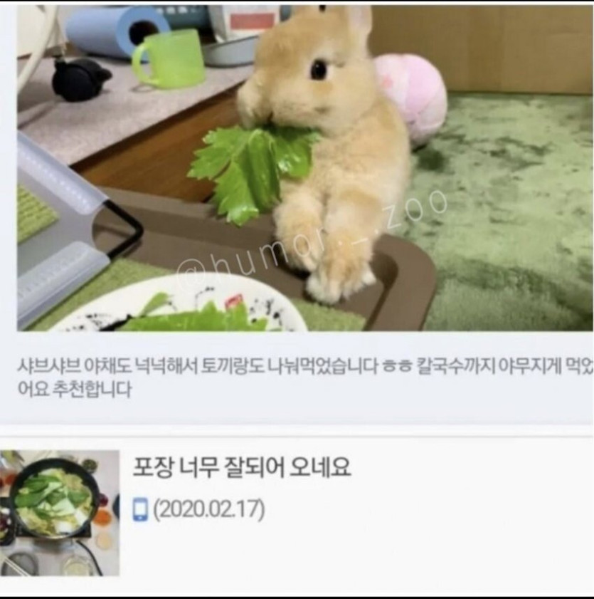 781f1ce26bcfa61f93bef337a2431852_1734712878_8003.jpeg