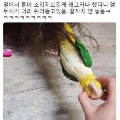 1a68719fbf40ea1f0bf5e634d5c2c9b1_1735747102_038.jpeg
