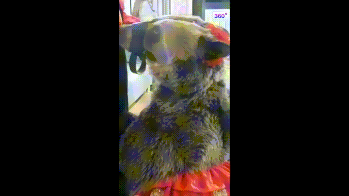 74ca3904b0ea07805713a0b92659ed25_1740501571_7109.gif