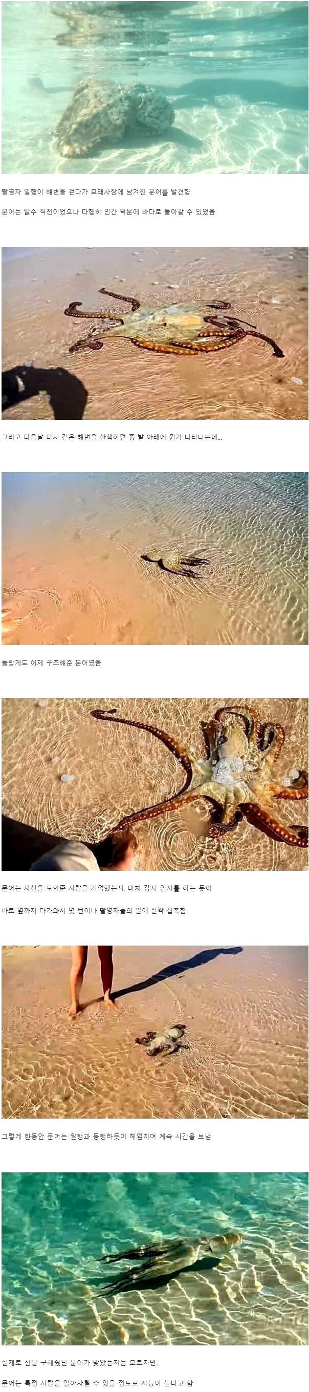 8cf683f83d6b43743aaaf6e7c721279a_1738770149_2327.jpeg