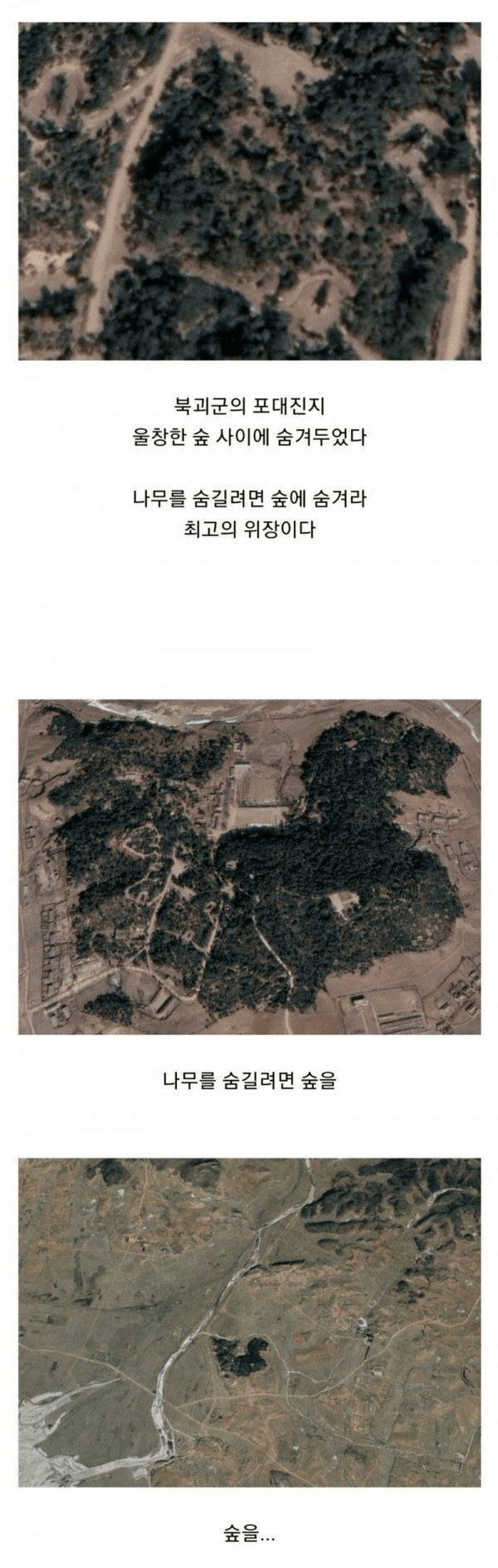 a8e3ee484745af9e1c24afffa1efaf2e_1740324903_0735.png