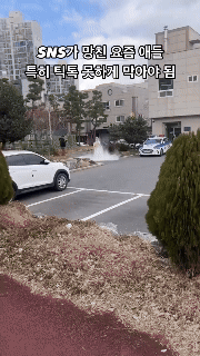 5aff808da91bcc6f7de5177f2d2f1d42_1741534533_4777.gif