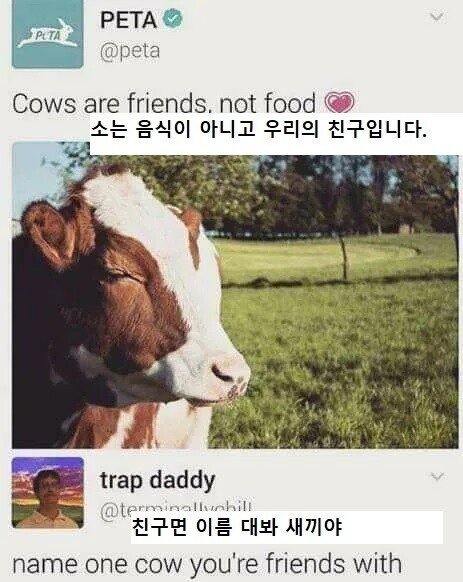 5ef14389fd992b1c1e026fce50c22b1a_1741712517_8963.jpg