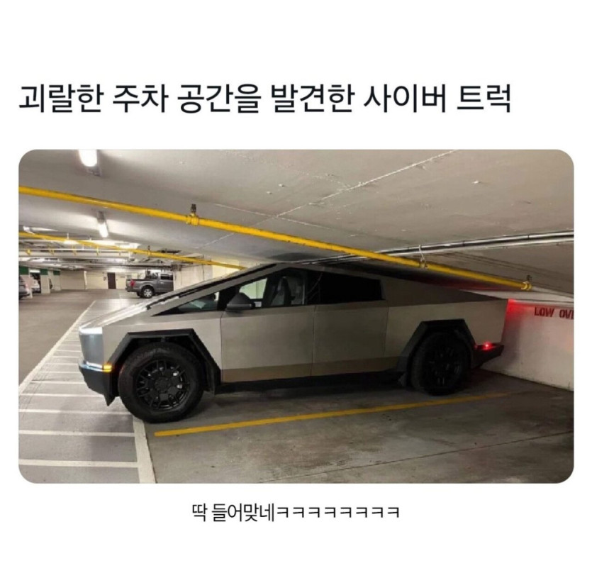 ec84d234d2df3a4fa176e4cabeeef829_1742899844_0269.jpeg