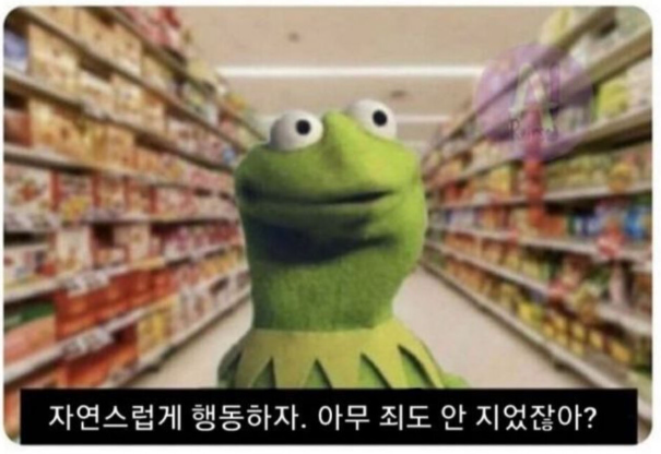 7b47764553cb45d6de63d812fb42020c_1751054761_7725.png