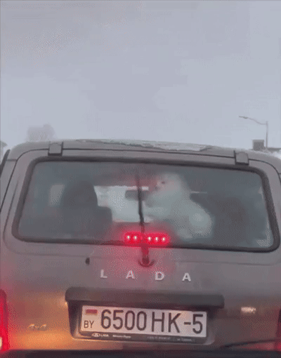 35665692905530ae90d82e19248b22f4_1753106047_6235.gif