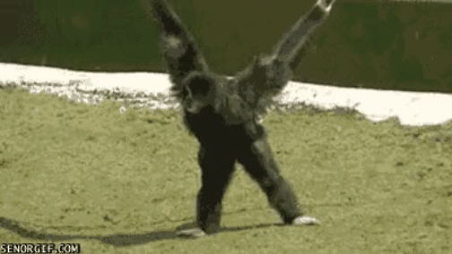 51131f8bab4038ced1acc70466991a5e_1753366265_1506.gif