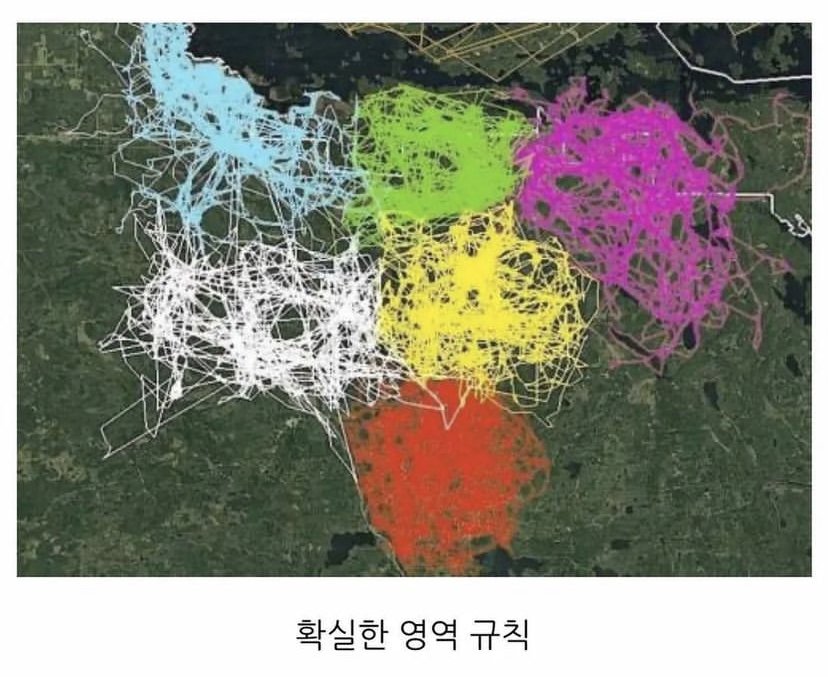 3a320e7906e6ae5c052d9b4a246cf97d_1759848395_0778.jpeg