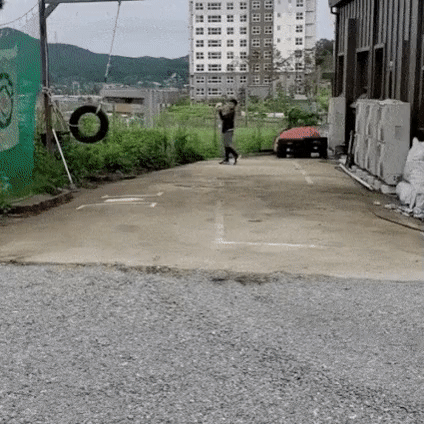 3ad05cf09f033cf73a2a6b555ae5e3a0_1761488759_5926.gif
