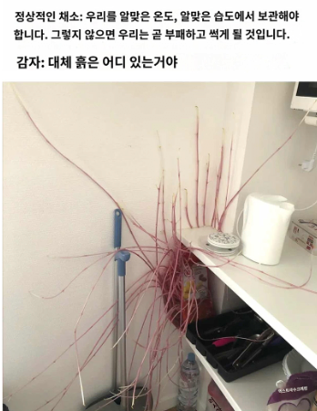 8b7a97db2d302ea91cc651e07bdc500a_1765889484_4565.png