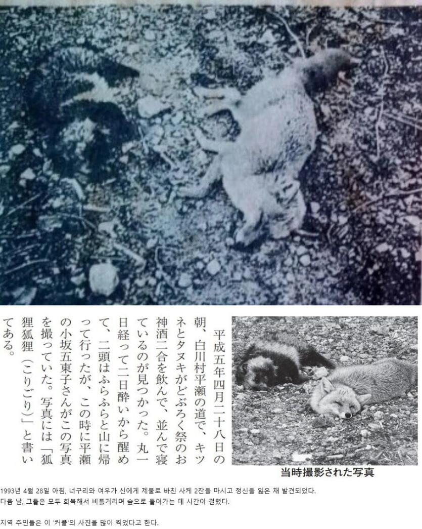 7e056c78f3d6a5efc81e3d888d9a8a60_1769768279_5628.jpg