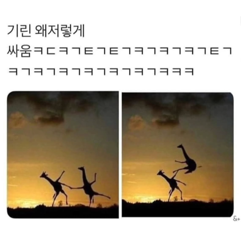 617554bcdaede644ca545f54df6a9f0c_1770813689_7482.png