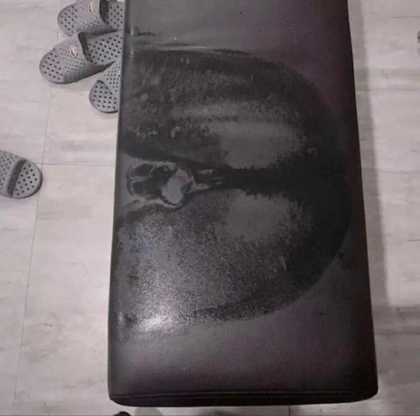 c54c9ad122373f50414137d93e732aea_1769936201_8511.jpg