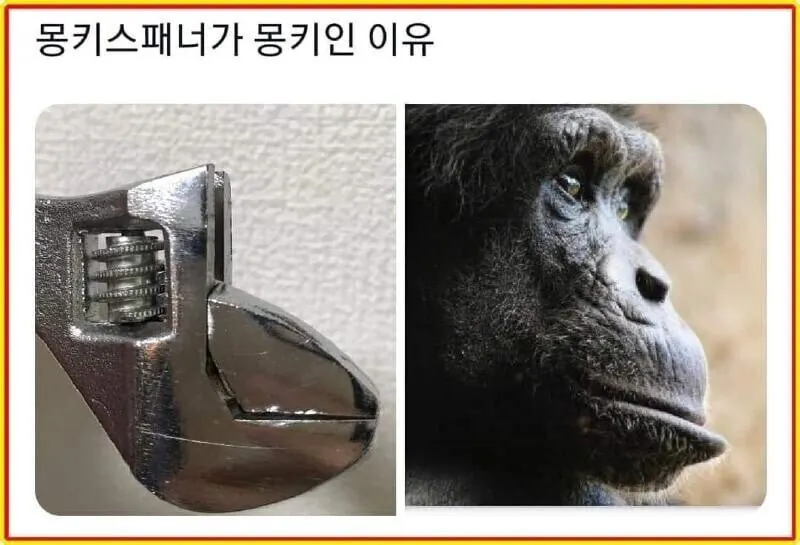 481ab08c67781bf2b58d68ca3e2447b2_1772543318_4329.webp