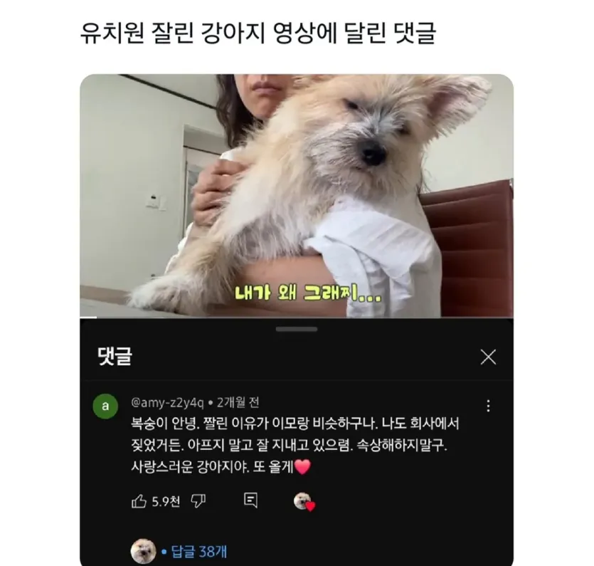 e3600c157d35063721673a8ad124aece_1773605775_346.webp