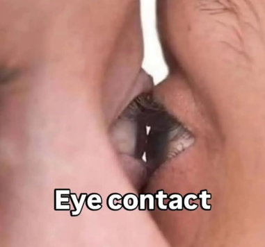 3efcc3d28247f8599ec0abe06584979f_1788310998_3022.png