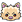 poket_21